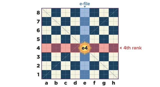 course cover